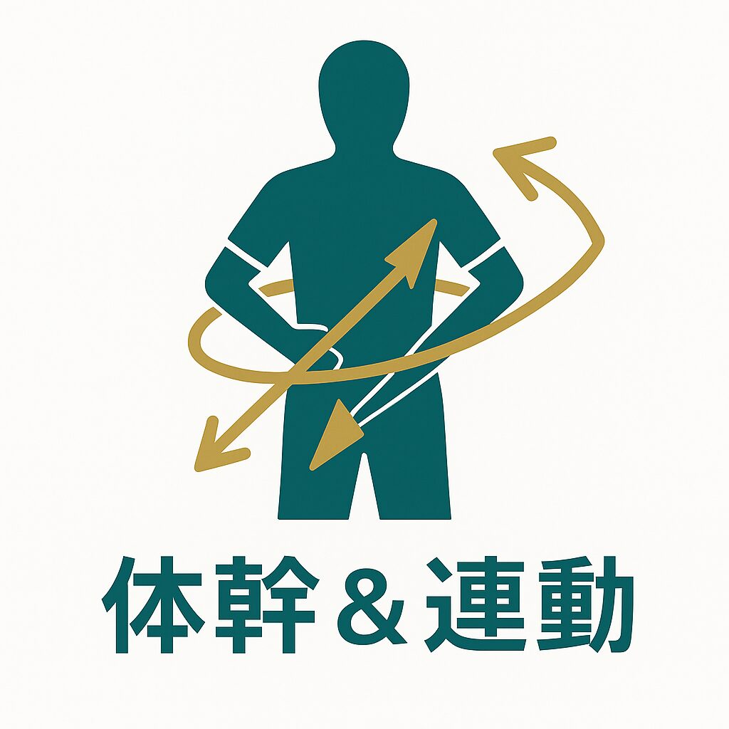 ③体幹×連動